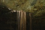 Les cenotes du Yucatán