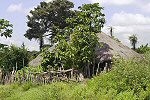 Edioungou (Casamance)