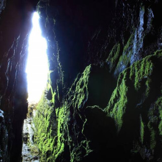 Shennongjia au Hubei