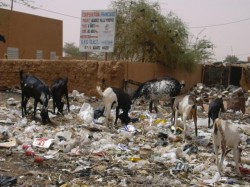 Les différents visages d’Agadez