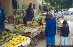 Le marché Sabon Gari