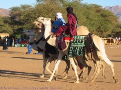 Les touaregs
