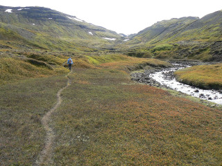 Flore et agriculture en Islande