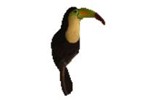 Ecotourisme au Yucatán