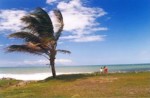Le Nord Atlantique
