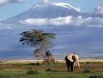 Kenya