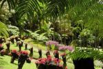 Le jardin de Balata