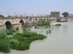 Cordoue