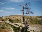 Col de Torre Miro