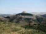 Morella