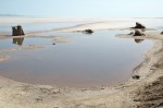 Le lac salé Chott el-jerid