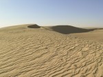 Le sahara et le grand erg oriental