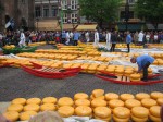 Alkmaar