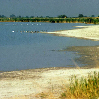 Paysage culturel de Fertö / Neusiedlersee