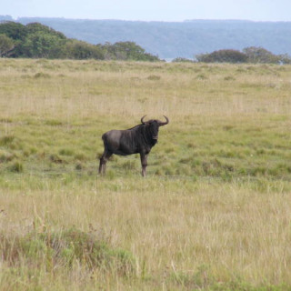 Parc de la zone humide d’iSimangaliso