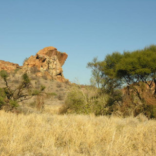 Paysage culturel de Mapungubwe