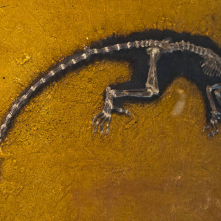 Site fossilifère de Messel