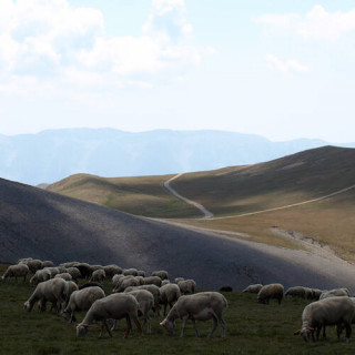 La Vallée du Madriu-Perafita-Claror