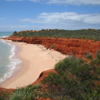 Baie Shark, Australie occidentale