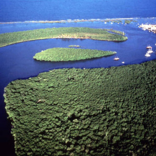 Côte de la découverte &ndash; Réserves de la forêt atlantique