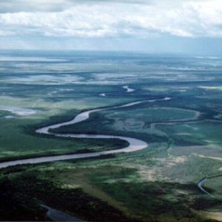Parc national Wood Buffalo
