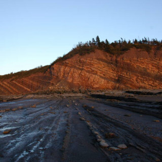 Falaises fossilifères de Joggins