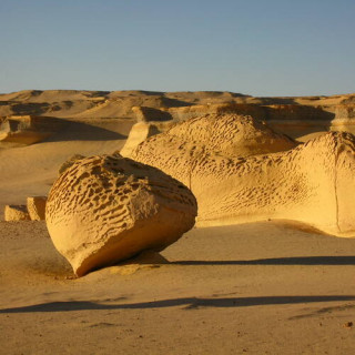 Wadi Al-Hitan (La vallée des Baleines)