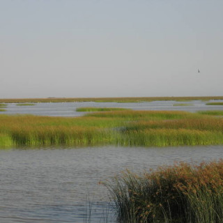 Parc national de Doñana