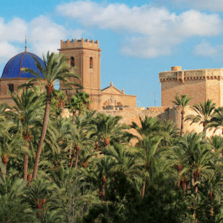 Palmeraie d&rsquo;Elche