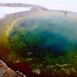 Parc national de Yellowstone