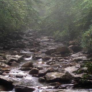 Parc national des Great Smoky Mountains