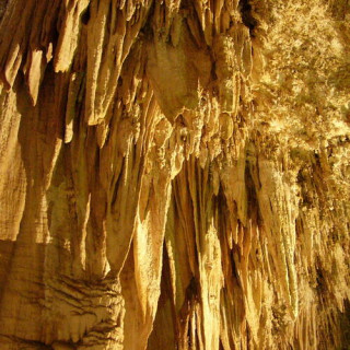 Parc national des grottes de Carlsbad