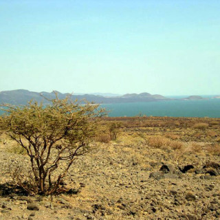 Basse vallée de l'Omo
