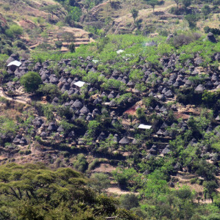 Paysage culturel du pays konso
