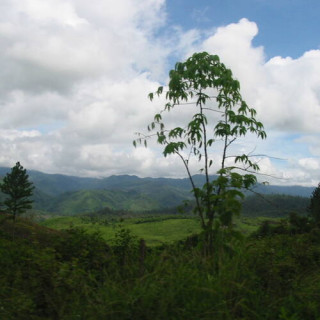 Réserve de la biosphère Río Plátano