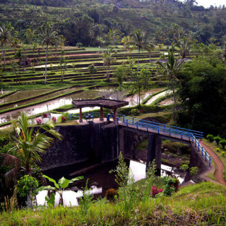 Paysage culturel de la province de Bali : le système des <em>subak</em> en tant que manifestation de la philosophie du <em>Tri 