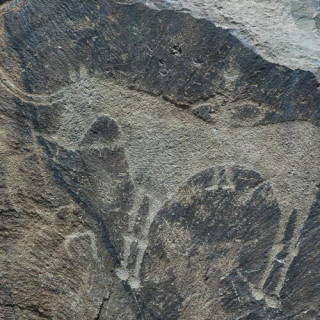 Pétroglyphes du paysage archéologique de Tamgaly