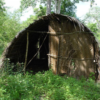 Forêts sacrées de kayas des Mijikenda