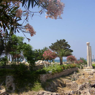 Tyr