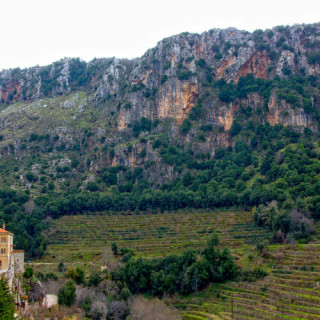 Ouadi Qadisha ou Vallée sainte et forêt des cèdres de Dieu (Horsh Arz el-Rab)