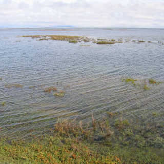 Sanctuaire de baleines d'El Vizcaino