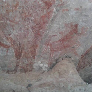 Peintures rupestres de la Sierra de San Francisco