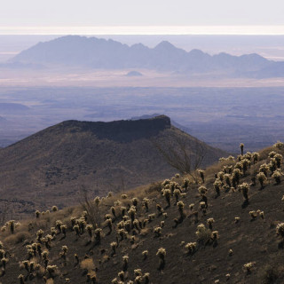 Réserve de biosphère El Pinacate et le Grand désert d&rsquo;Altar