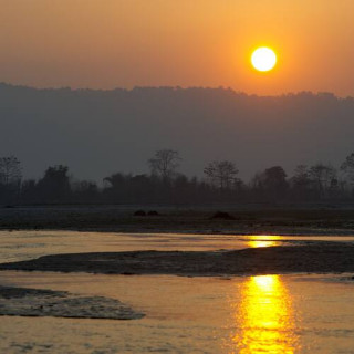 Parc national de Chitwan