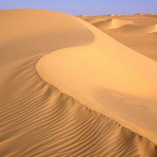 Les réserves de l'Aïr et du Ténéré