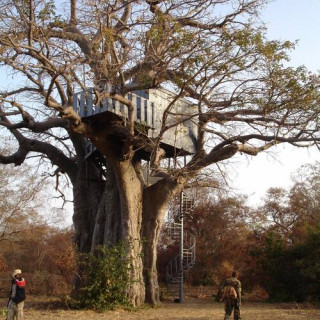 Le parc national du W