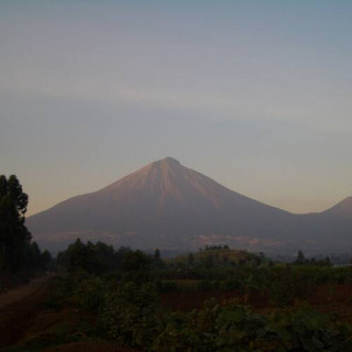 Forêt impénétrable de Bwindi