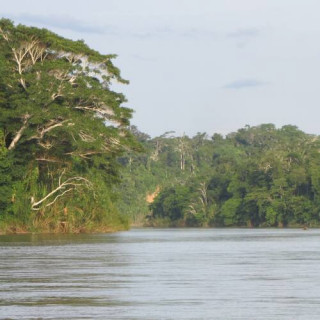 Parc national de Manú