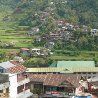 Rizières en terrasses des cordillères des Philippines