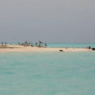Parc naturel du récif de Tubbataha